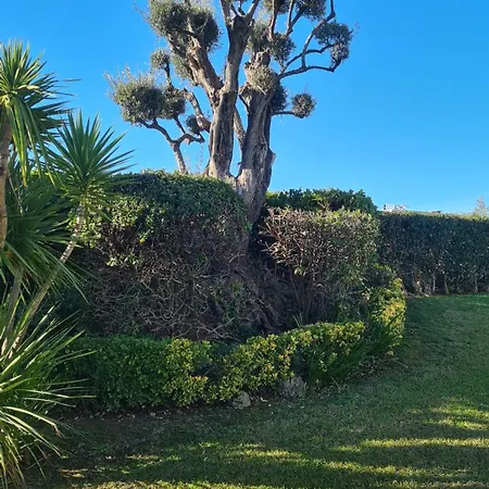 T2 De Vacances, Appartement Antibes